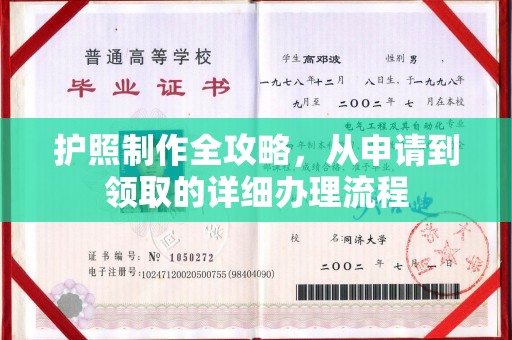 子洲护照制作全攻略，从申请到领取的详细办理流程